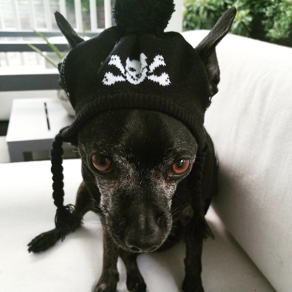 Ashley - Picture 2 of 3